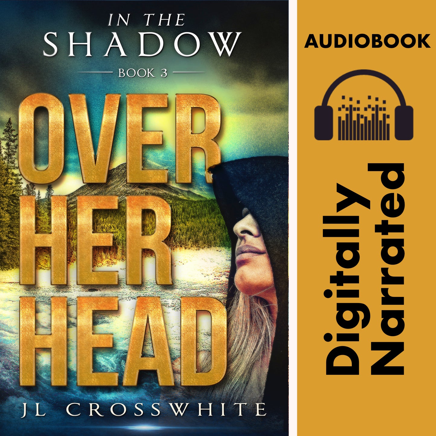 Over Her Head: In the Shadow Book 3 (audiobook)
