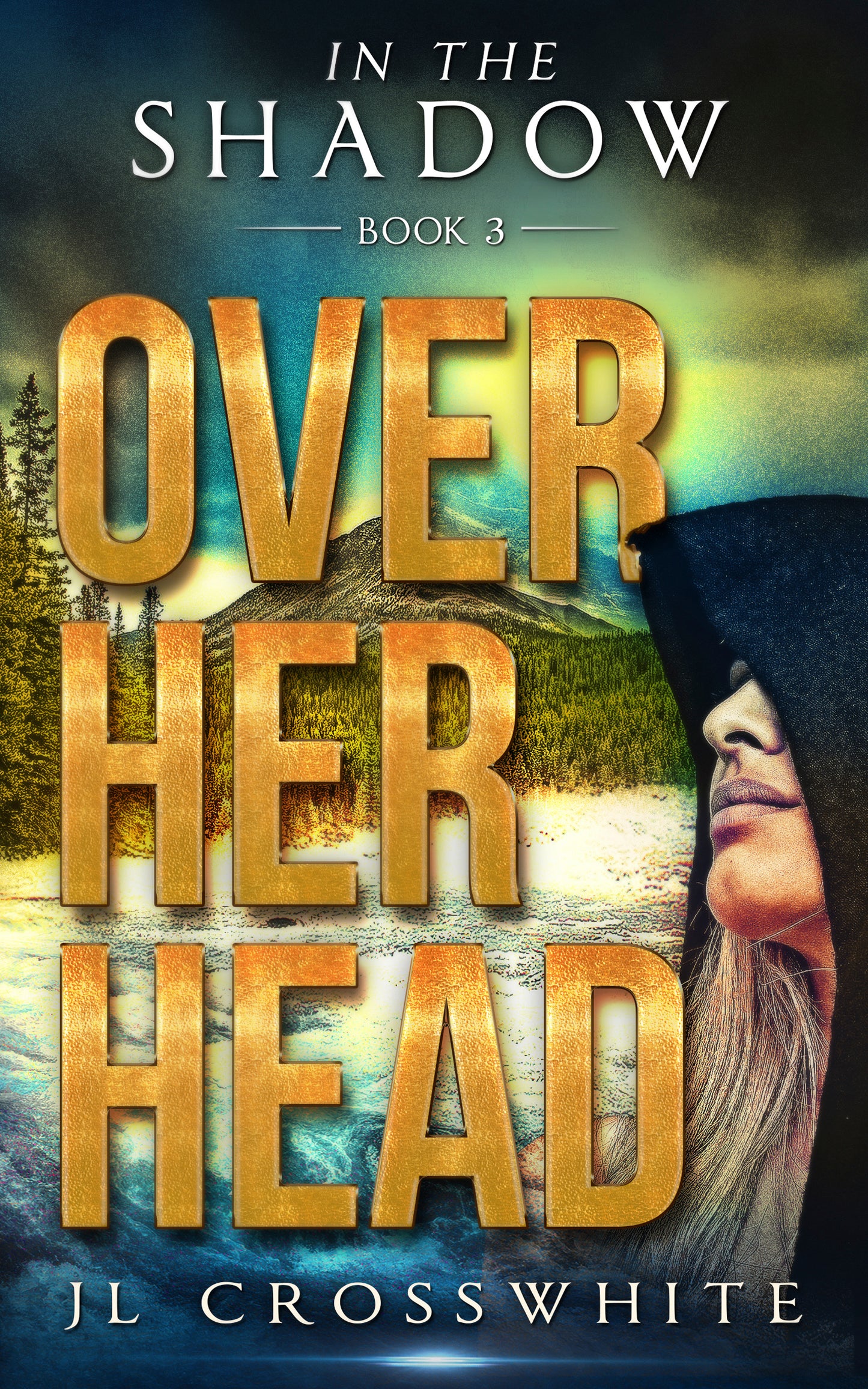 Over Her Head: In the Shadow Book 3 (ebook)